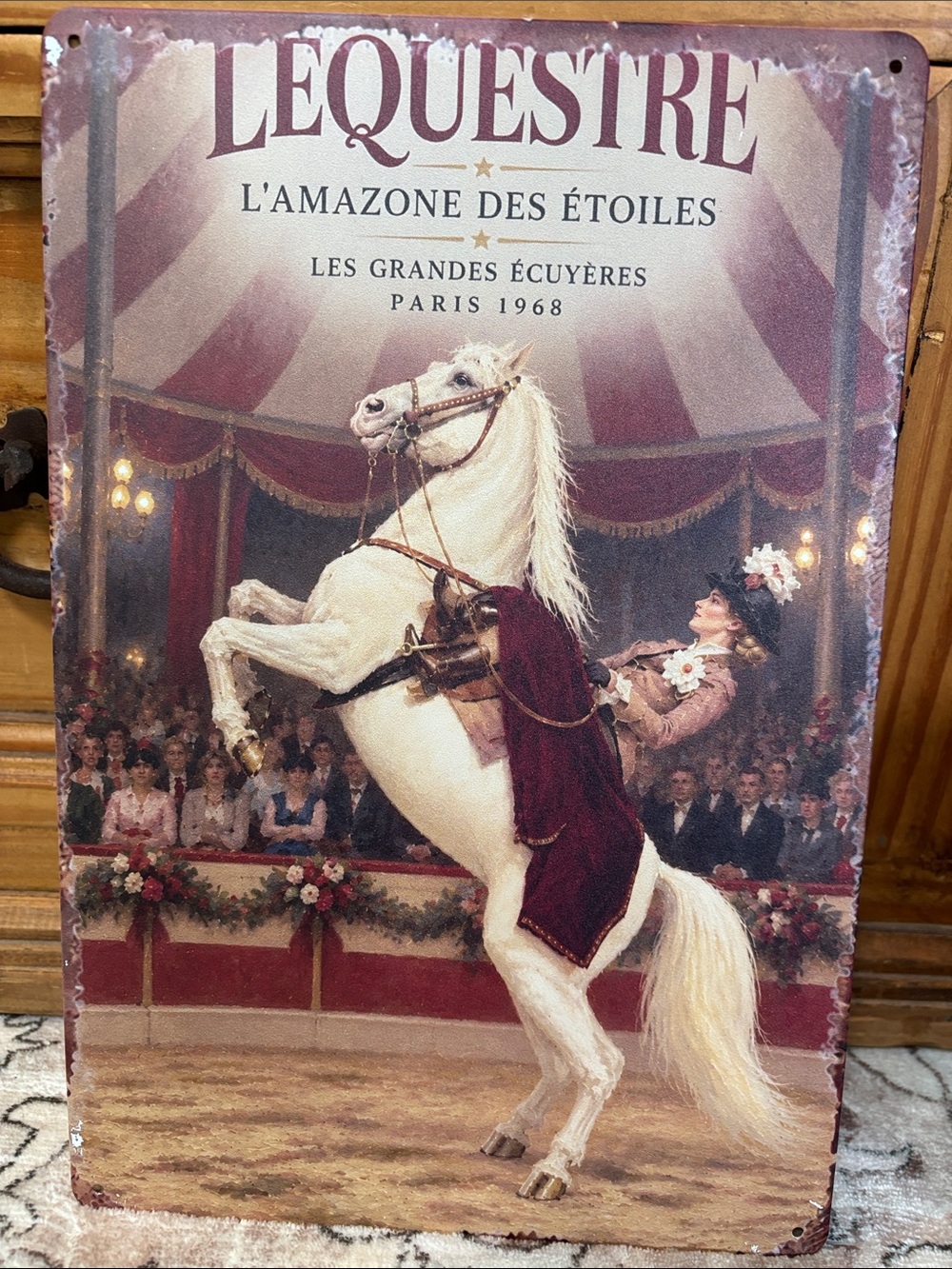 Equestrian dressage lady rider Tin Sign Art 8x12